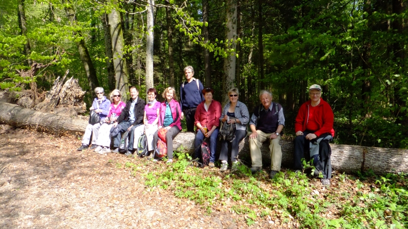 Alle sitzen auf dem Baumstamm, wie die Hühner auf der Stange